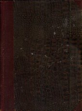 kniha Rodina Kulichova obrazy z malého města, Dědictví Svatojanské 1919