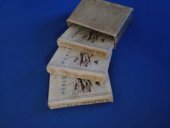 kniha Peklo I.,II.,III.díl (legionáři) - Vlasák Rudolf, Osvětový odbor Družiny dobrovolců československého zahraničního vojska 1935