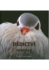 kniha Dědictví Heritage, Městské knihy 2021