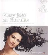 kniha Vlasy jako ze škatulky základy vlasového stylingu: od péče až po moderní účes, DM Drogerie Markt 2009