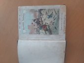 kniha Maršálek Radecký, Rudolf Storch 