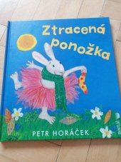 kniha Ztracená ponožka , Portál  2025