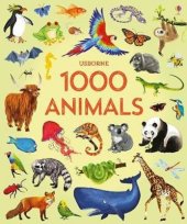 kniha 1000 Animals, Usborne Publishing 2018