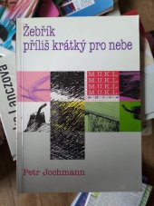 kniha Žebřík příliš krátký pro nebe, Votobia 1992