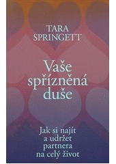 kniha Vaše spřízněná duše  Jak si najít a udržet partnera na celý život, Podnikatelé (Hodná holka) 2013