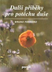 kniha Další příběhy pro potěchu duše, Portál 1997