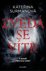 kniha Zvedá se vítr , Kalibr 2023