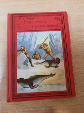 kniha Dvacet měsíců na pustém ostrově, A. Storch syn, knihkupec 1894