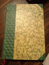 kniha Hraběnka de Blossac. Díl II, Šolc a Šimáček 