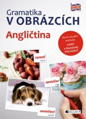 kniha Gramatika v obrázcích - Angličtina, Fragment 2016