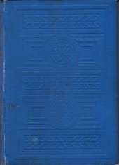 kniha Jediná noc román, Borský a Šulc 1927