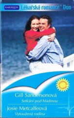 kniha Setkání pod hladinou Vytoužená rodina, Harlequin 2007