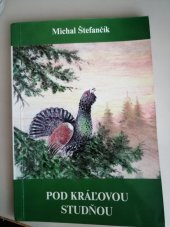 kniha Pod kráľovou studňou Lesníkove rozpomienky, Ametyst 1997