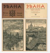 kniha Praha Osm původních dřevorytů, Edice Sad 