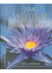 kniha Jak meditovat Praktický návod, jak se spřátelit se svou myslí, Synergie 2013
