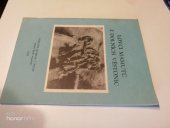 kniha Lovci mamutů z Dolních Věstonic Katalog k výstavě, Praha 1989, Národní muzeum 1989