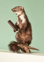 kniha Kuna nese nanuk - umění čtení umění , Nadační fond 8smička 2019