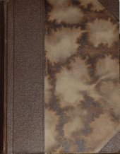 kniha Irča v pensionátě, Alois Neubert 1918