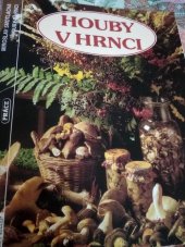 kniha Houby v hrnci, Práce 1997