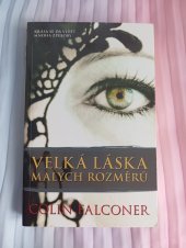 kniha Velká láska malých rozměrů , BB art 2019