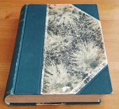 kniha Ocelový oř, B. Procházka 1926