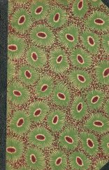 kniha Netečný divák a jiné prósy, Fr. Borový 1917