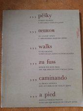 kniha Pěšky starou Prahou s akvarely Václava Jansy, Škoda export 1985