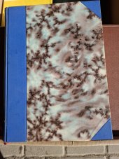 kniha Zápisky divadelní krysy, Jos. R. Vilímek 1925