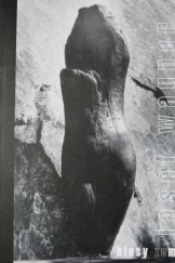 kniha Josef Wagner hlasy Země : [Městské muzeum Jaroměř 17.6.-16.9.2001, Okresní muzeum a galerie Jičín 5.10.-25.11.2001, Městské muzeum Jaroměř 2001