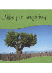 kniha Nikdy to nevzdávej, Doron 2012