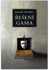kniha Řešení Gama, Město Ústí nad Labem 2007
