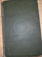 kniha Máňa Románek mladé lásky, Beaufort 1928