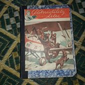 kniha Patnactiletý letec, Jos. R. Vilímek 1928