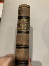 kniha Duch svaty třeti osoba nejsvětější Trojice Boží Vyklad věroučný, rozjímani, poboznosti a modlitby příslušné s připojenými pobožnistmi obyčejnymi pro katoliky každého věku a pohlaví, zvláště pak pro biřmovance, Knihtiskarna Prokopa Zapletala v Zabřeze 1900