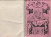 kniha Trpaslík císaře Karla IV. historický román, Alois Hynek 1882