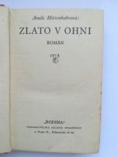 kniha Zlato v ohni román, Rodina 1930