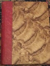 kniha Antikrist román, s.n. 1932