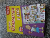 kniha Anglická gramatika v akci, INFOA 2019