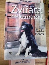 kniha Zvířata před kamerou, Bareš Ruda 2002