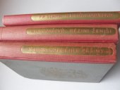 kniha Rézini ženiši román z jihozápadní Moravy, R. Promberger 1925