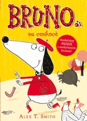 kniha Bruno na venkově Neobyčejný pejsek s neobyčejným životem!, Mladá fronta 2016