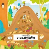 kniha Co se děje v mraveništi, Albatros 2018