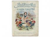 kniha Sněhurka a sedm trpaslíků, Zmatlík a Palička 