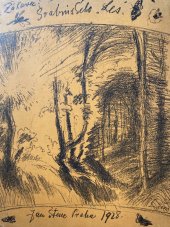 kniha Švabinského > Les <, Jan Štenc 1928