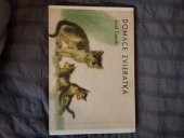 kniha Domáce zvieratká, Mladé letá 1981