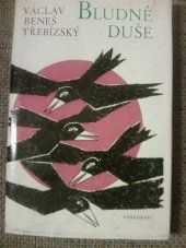 kniha Bludné duše Vesnický román, J. Otto 