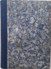 kniha Oběti strojů Román z ovzduší železáren, s.n. 1931