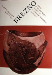 kniha Březno Osada z mladší doby kamenné v severozápadních Čechách, Severočeské nakladatelství 1979