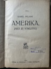 kniha Amerika, jaká je vskutku, A. Perout 1919