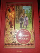 kniha Tajemství pralesa  Svazek 2, Hachette 2021